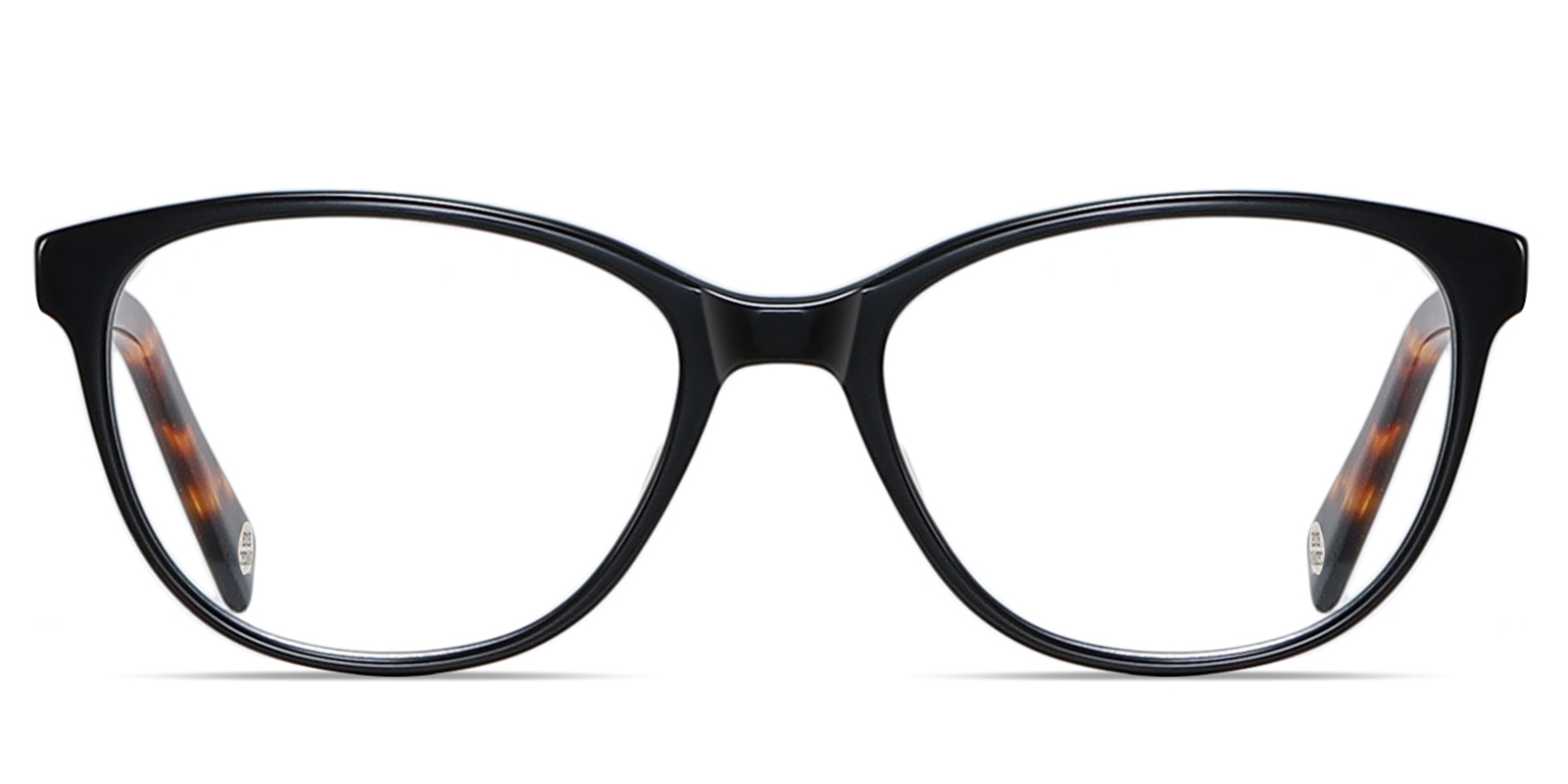 EYE8081-1-Chechin-tortoise