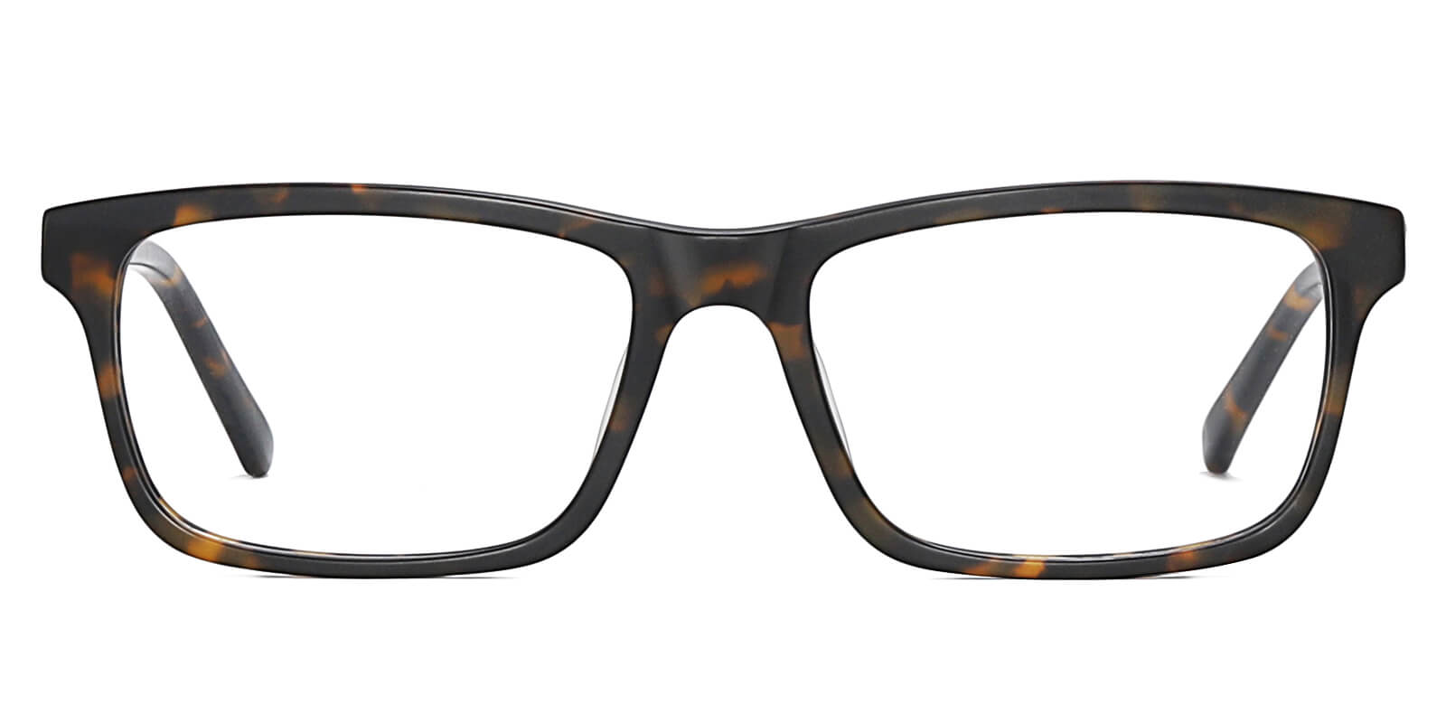 EYE8078-Sunth-tortoise