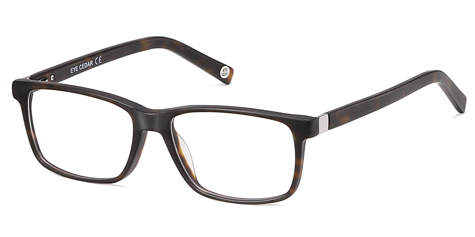 EYE8076-Sttin-tortoise