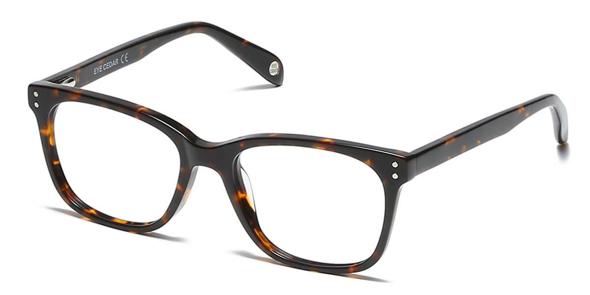 EYE8001-1-Dorian-tortoise
