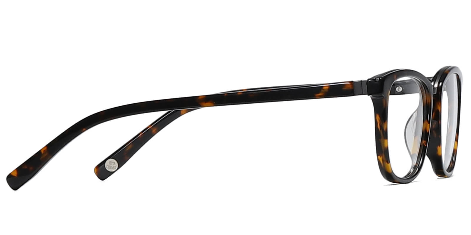 EYE8069-Willcern-tortoise