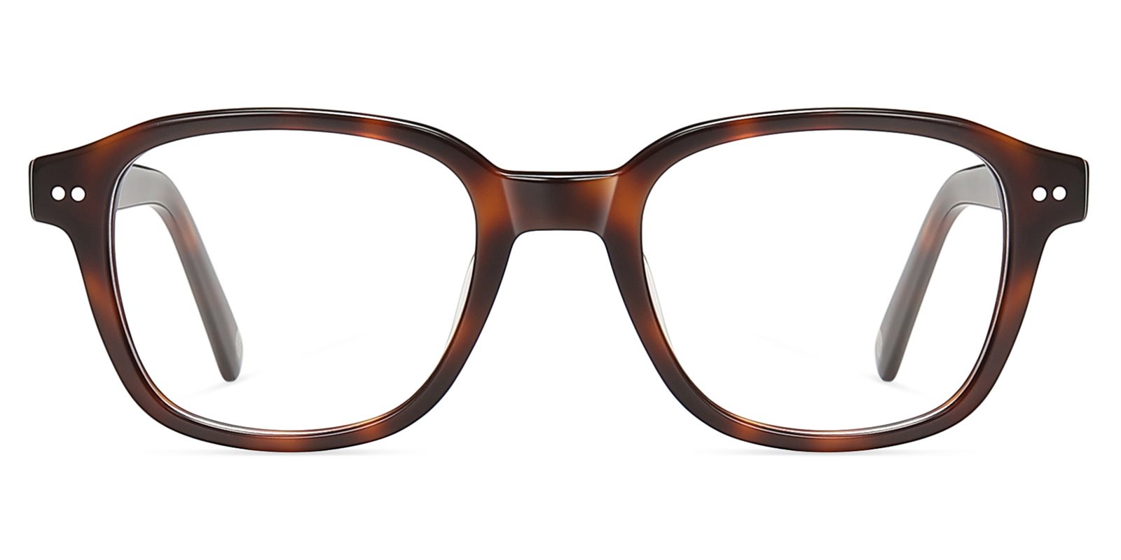 8982TL-Nevo-tortoise