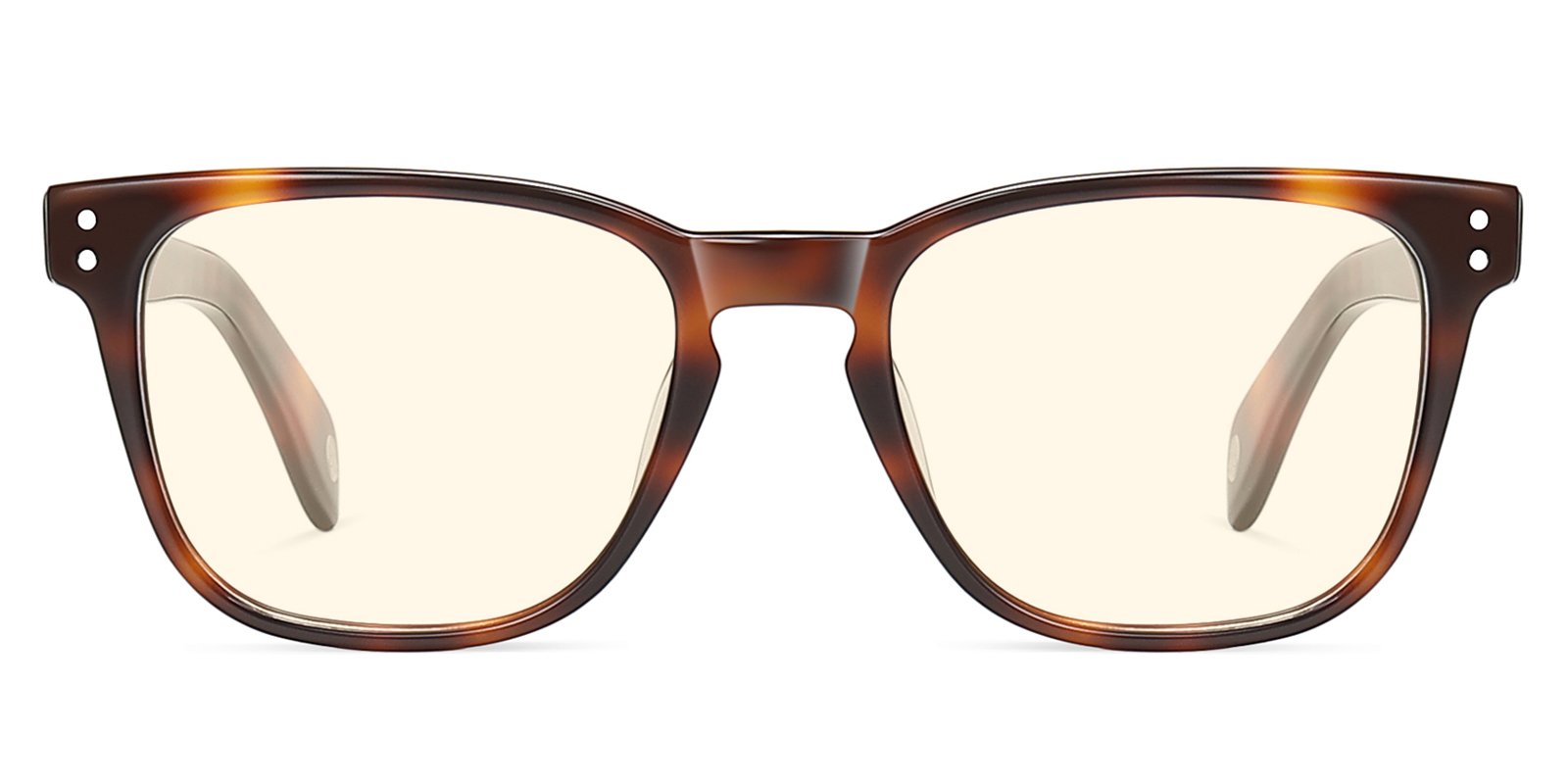 BY9887TL-Semiye-tortoise