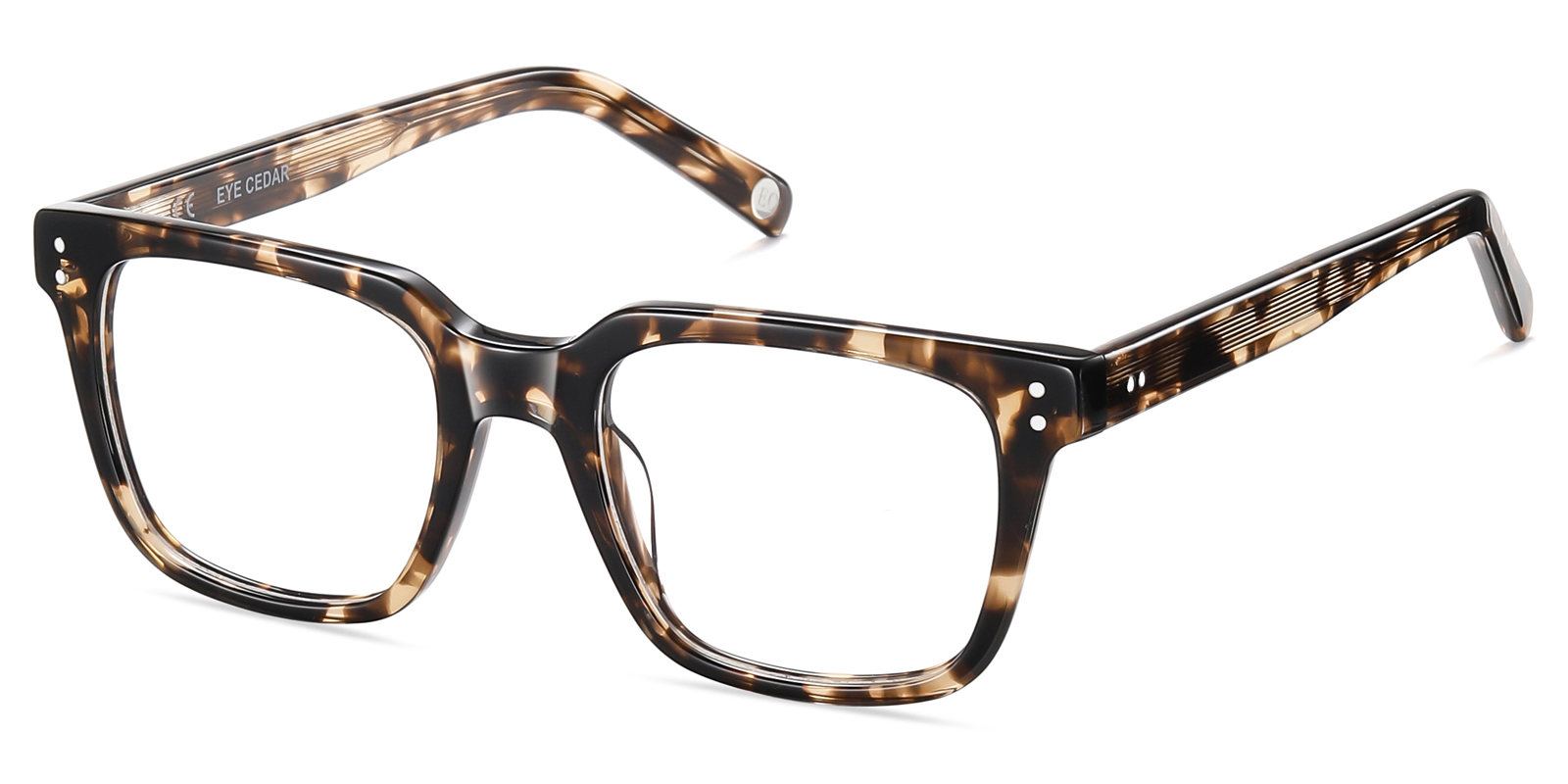 8776TL-Faro-tortoise