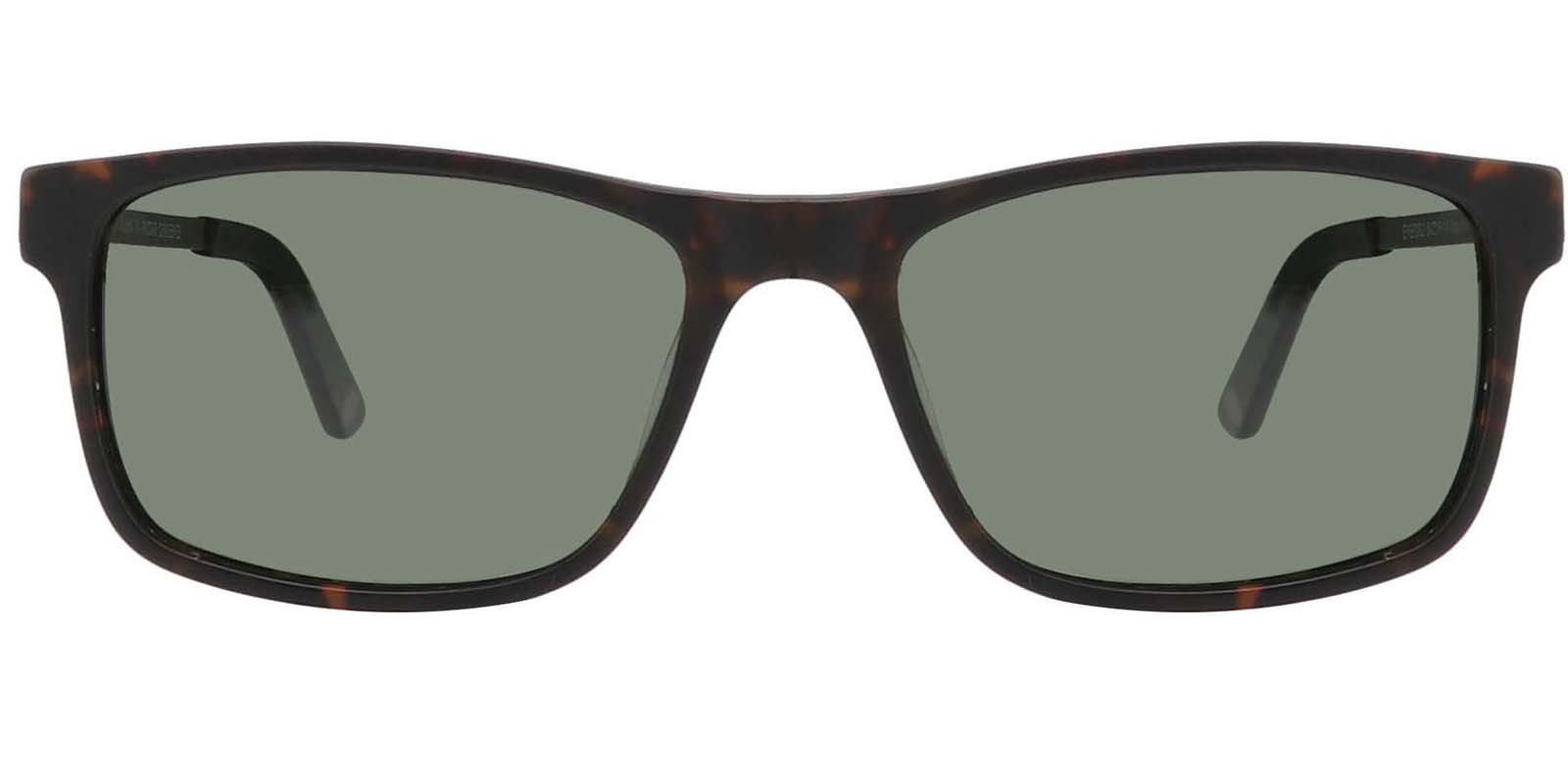 EYE8062-1S-Bligory-tortoise