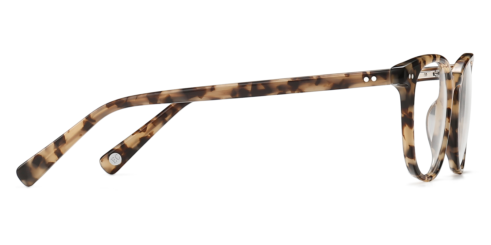 8991TL-Zuter-tortoise