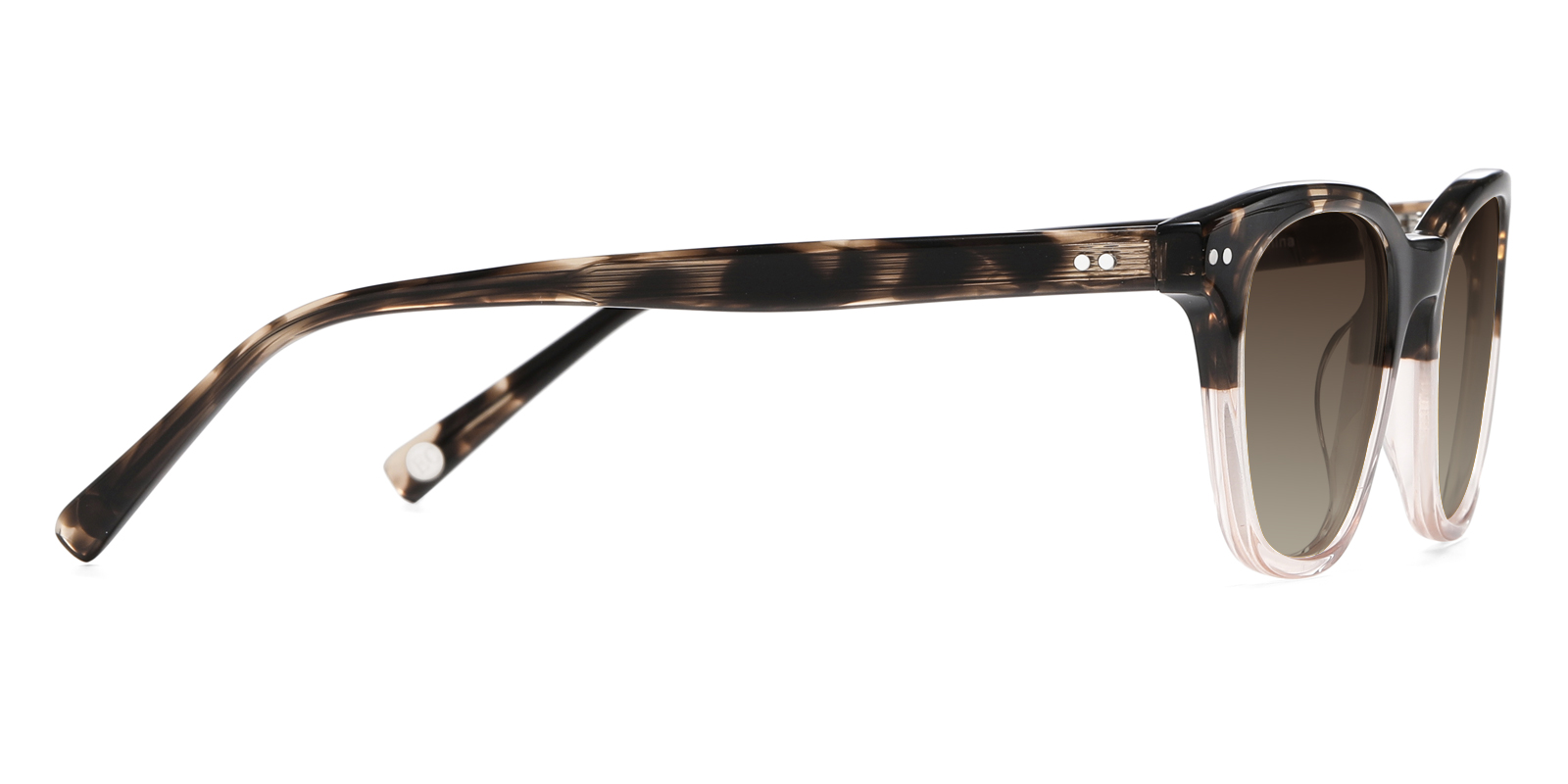 S8975TL-Ublich-tortoise