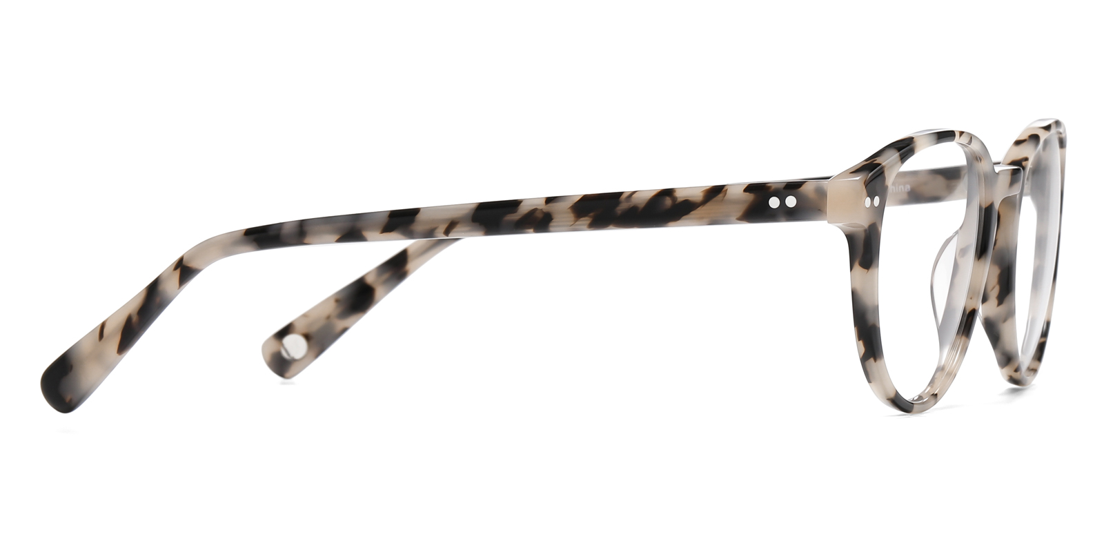 8890TL-Patre-tortoise