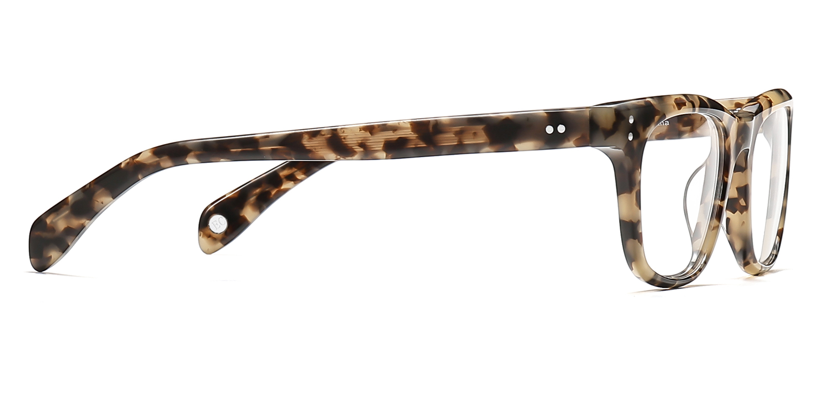 9859TL-Nila-tortoise