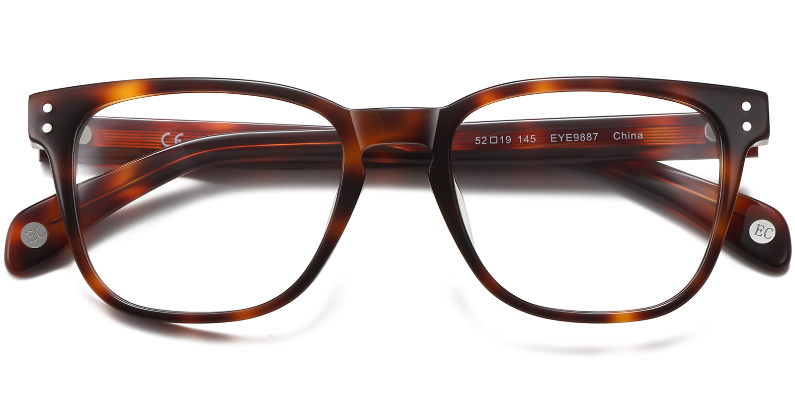 9887TL-Semiye-tortoise