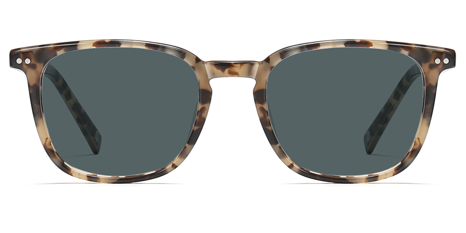 S9881TL-Orwin-tortoise