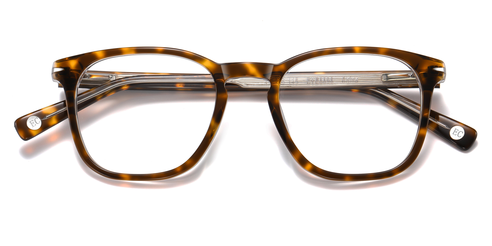 8896TO-Gaise-tortoise