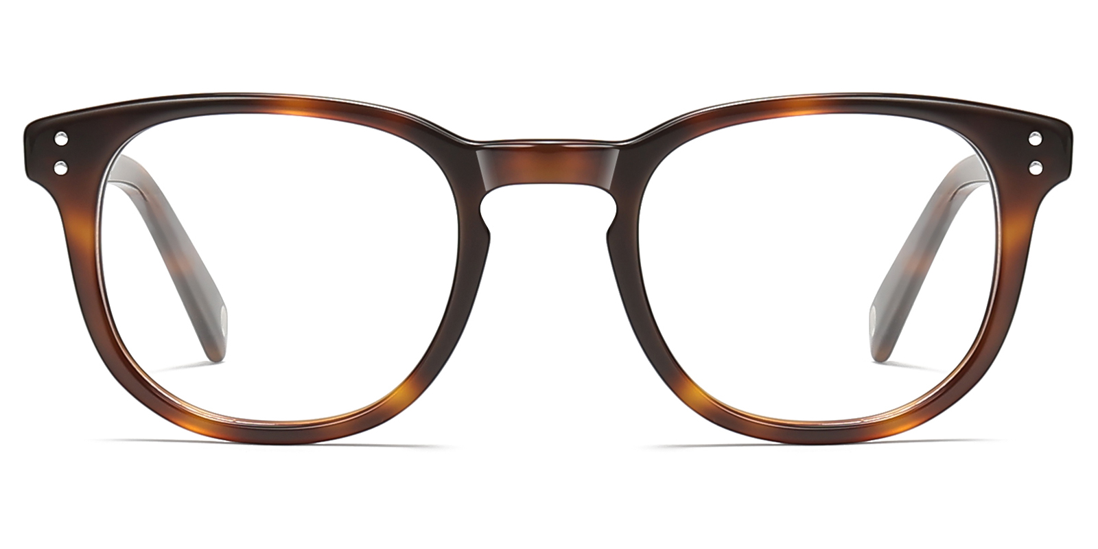 8995TL-Kodie-tortoise