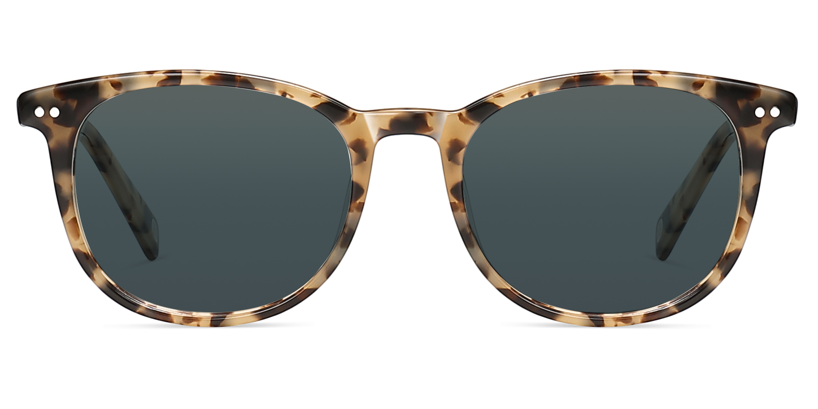 S8991TL-Zuter-tortoise