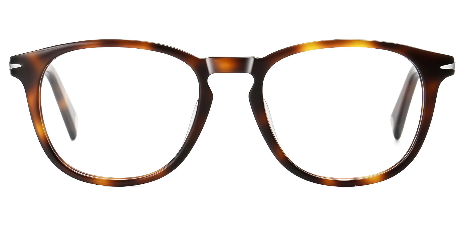 8872TO-Dico-tortoise