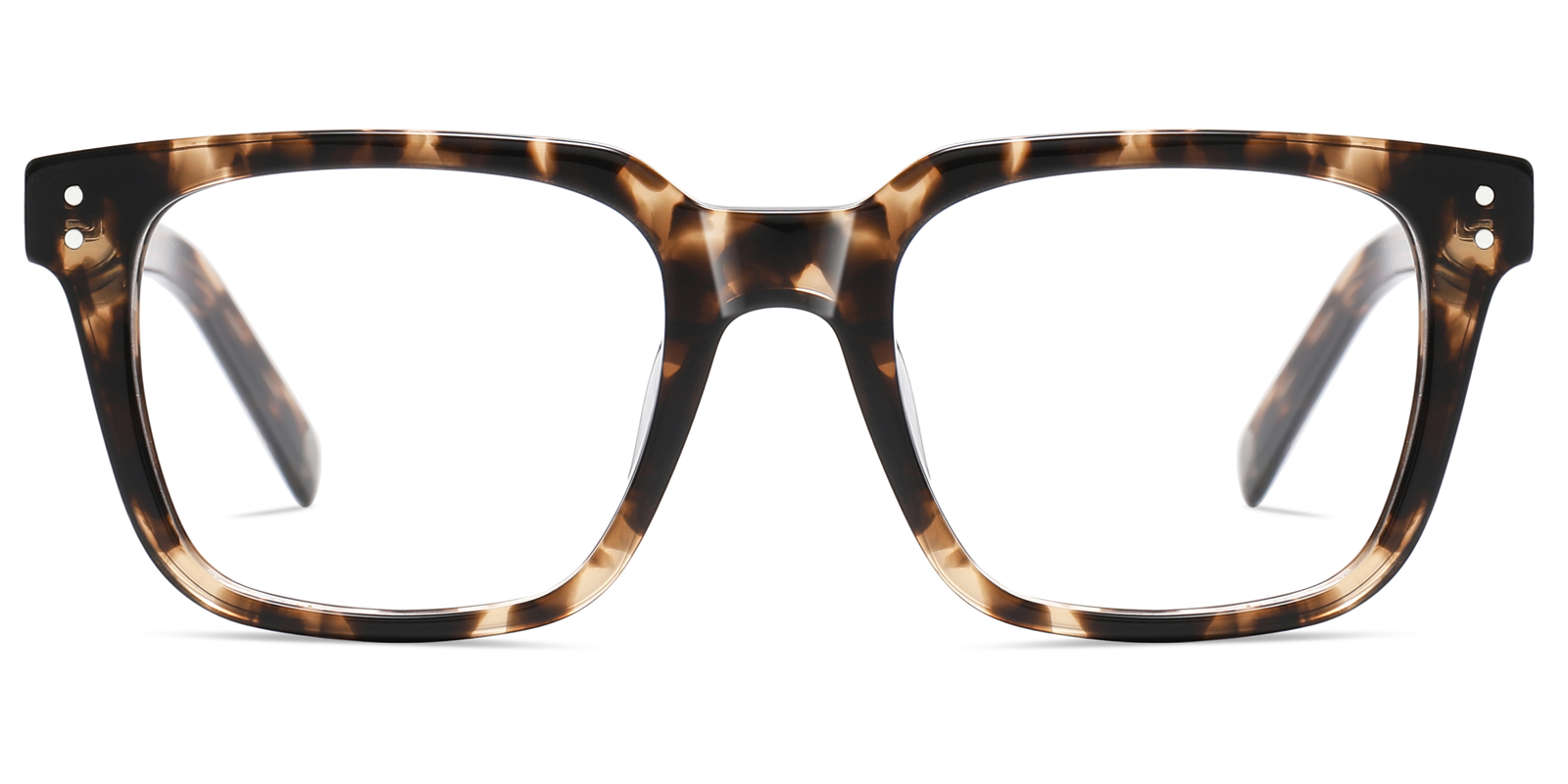 8776TL-Faro-tortoise