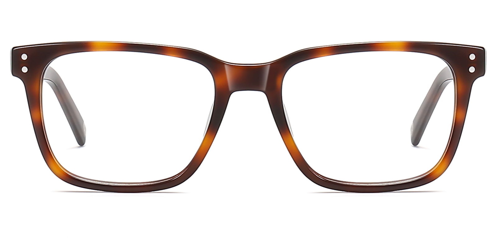 8985TL-Duben-tortoise